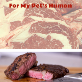 human ribeye steak